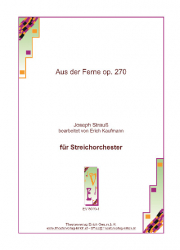 Aus der Ferne